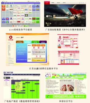 企業(yè)信息管理軟件定制與信息系統(tǒng)運行維護服務(wù) 構(gòu)建智慧化企業(yè)運營的雙重支撐
